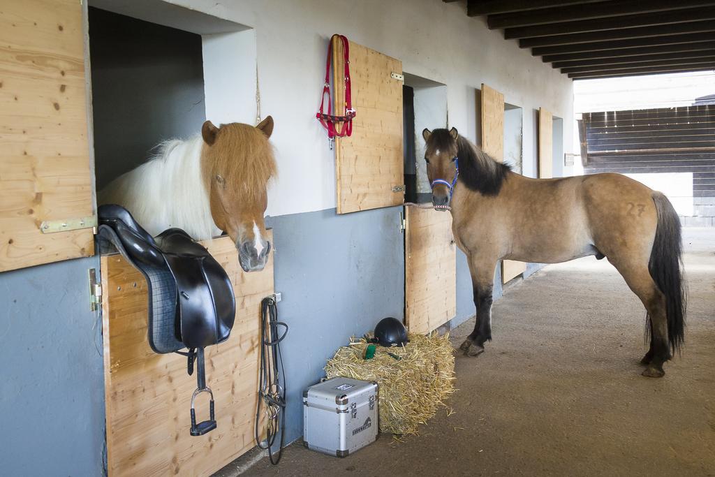 Hotel Reitzentrum Hausruckhof Ampflwang im Hausruckwald Bagian luar foto