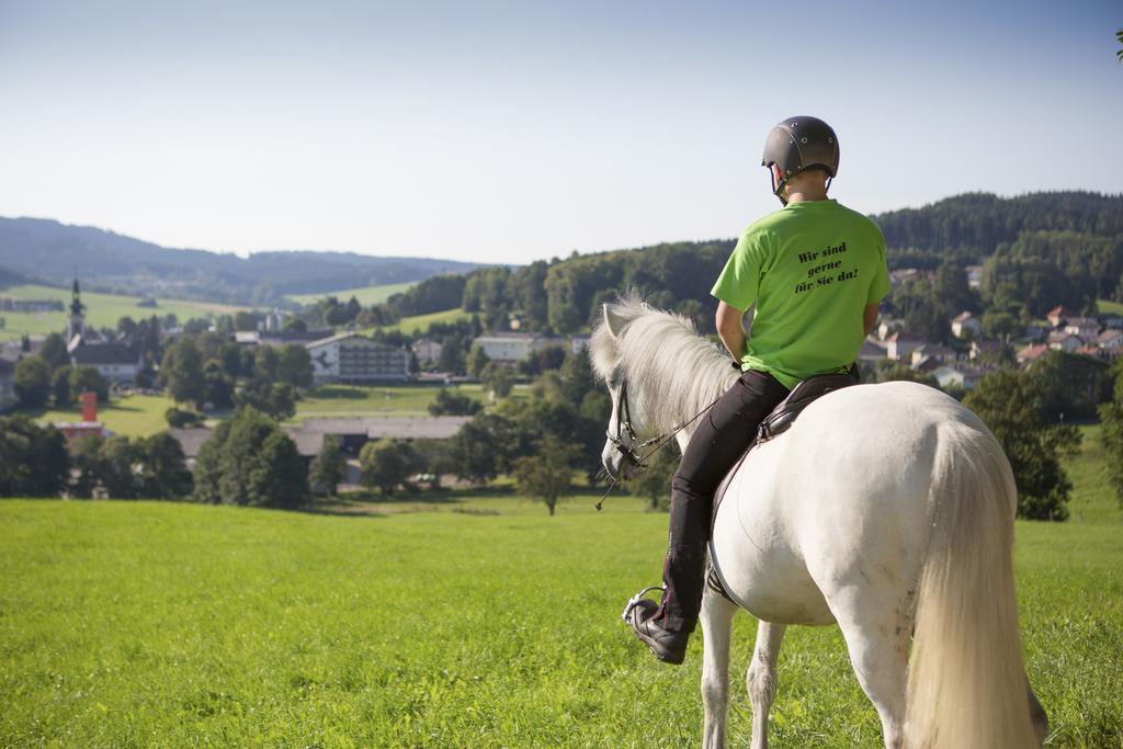 Hotel Reitzentrum Hausruckhof Ampflwang im Hausruckwald Bagian luar foto