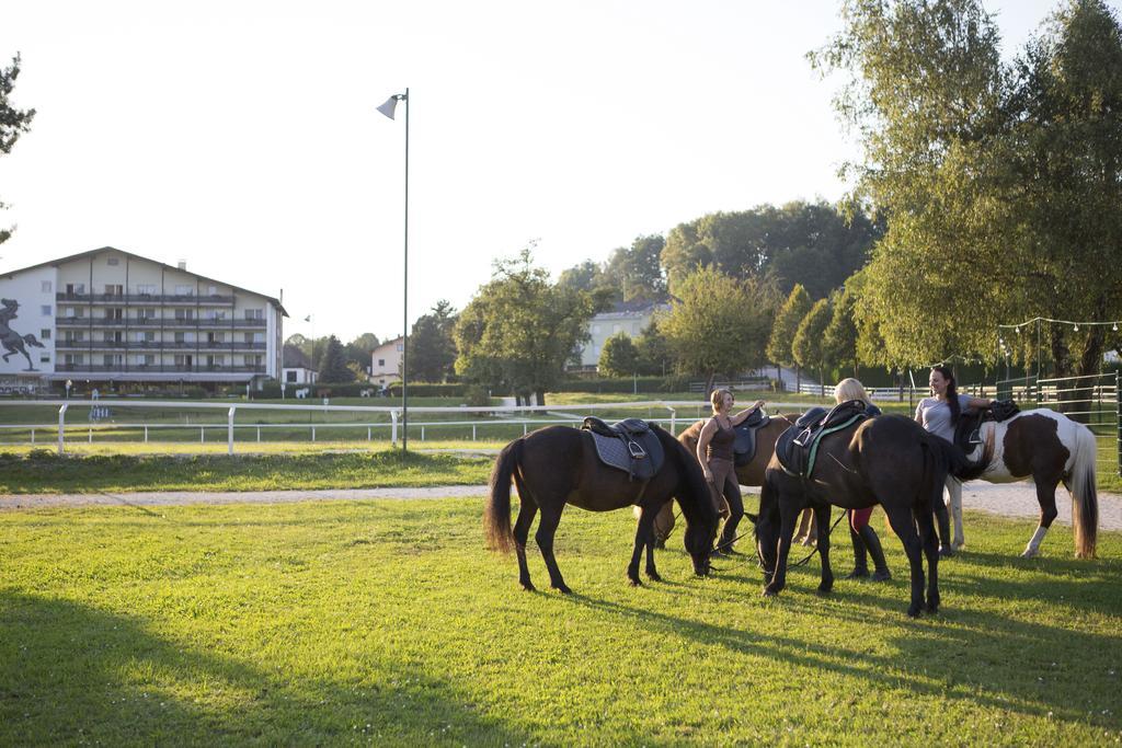 Hotel Reitzentrum Hausruckhof Ampflwang im Hausruckwald Bagian luar foto