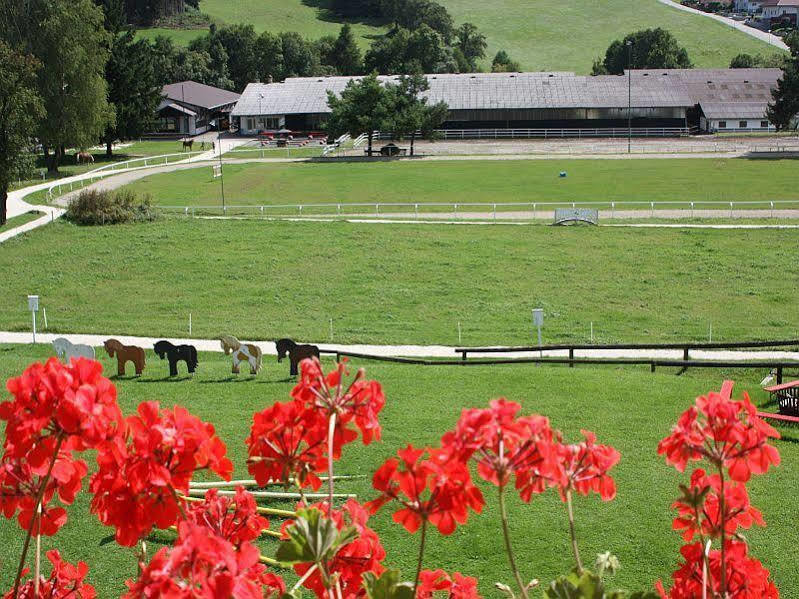 Hotel Reitzentrum Hausruckhof Ampflwang im Hausruckwald Bagian luar foto